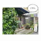 2026春の藤沢その7 ランチは手ぬぐいカフェ 一花屋