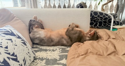 おじさんの休日的な…