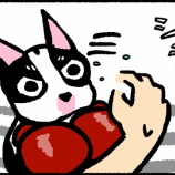 『犬は「なでられる」のが好き？』の画像