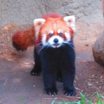 生物実験室＆生物同好会＆鉄道愛好会