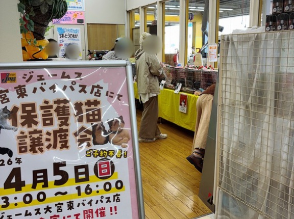 昨日は秘密結社ねこのひげ譲渡会＠ジェームス大宮東バイパス店さま