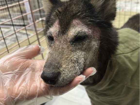 今日のかおりんちゃんです💓💓💓