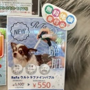 ヨーキーちゃん、シャンプーカット✂️🚿