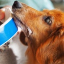 よだれマン＾＾。