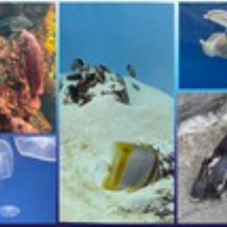 株式会社アクトライングループ