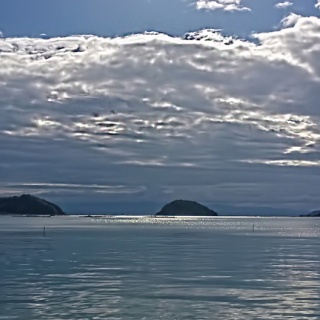 呉のメバル師
