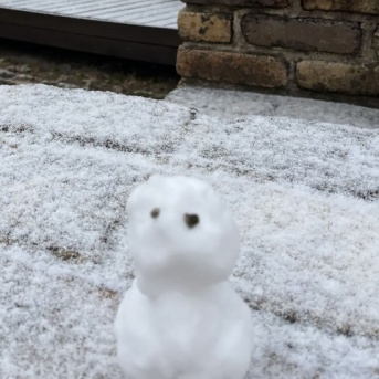 数ヶ月で10kg痩せた姉のひと言で、私も動き出した話