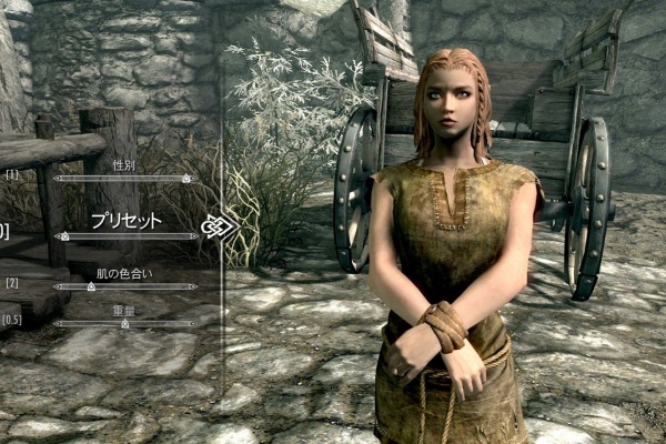 無料ダウンロード スカイリム 従者 装備 戻る 最高のイラスト