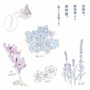 #035 植物園に行く