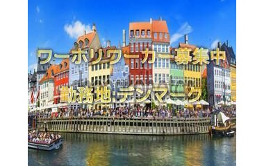 『デンマークワーホリ求人情報』の画像