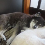 churahamaのブログ