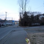 柴わんこと暮らす日々