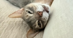 どこでもゆる寝の、ぼくちん