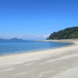 『AIとどのように共存するか』の画像