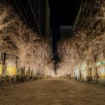 インデックス投資家の老後生活<実践編>