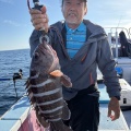 イワシの泳がせ