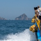 フェリー旅の魅力を再発見！関西から九州・四国への新しい移動スタイル