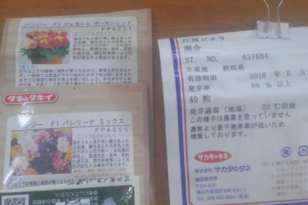 種から育てるガーデニング 江原ビオラ