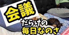 花博がやってくる。