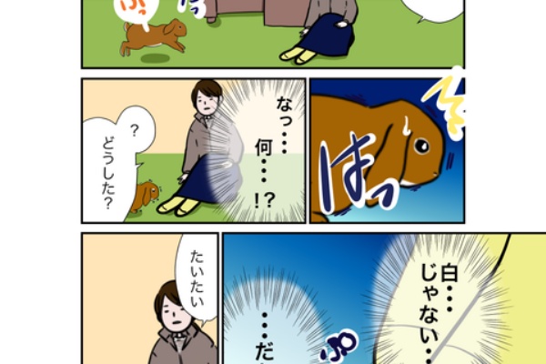 うさぎのたいさのじかん うさぎあるある
