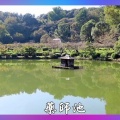 薬師池公園