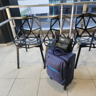 きまじめチキン日記