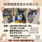 NPO法人 福井犬猫を救う会