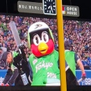 (3日の試合)横浜DeNAベイスターズと東京ヤクルトスワローズとの試合を観に行ってきた