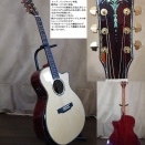 Ｔ14Ｂココボロ　OS1搭載モデル