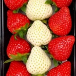 ■■速報＠保管庫(Alt)■■