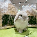 特別な贈り物はいかがでしょう？