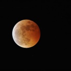 『投稿：BORG72FL＋OM-1のAIノイズリダクションによる皆既月食＆天王星掩蔽　2022/11/16』の画像