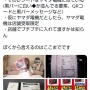 中川翔子さん、Switch2メルカリ購入を全面否定するも「貴殿の性格なら当選メールが来た時点で投稿してませんか？」と煽られてしまう…