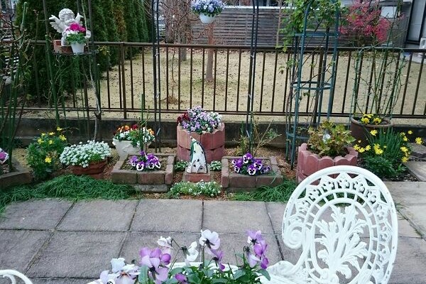 しもつけオープンガーデンクラブ 旬の花 旬の庭 冬