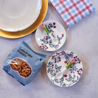 10年後も好きな家　家時間が好きになる「家事貯金」＆北欧インテリア