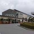 緑地管理剪定作業　三井住友鉱山伸銅（株）様
