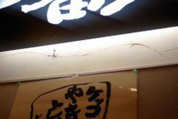 埼玉 散歩 格闘技 独り言 09年08月