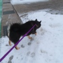 雪が降って分かること