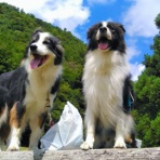 ひろいびと 清掃登山犬達と三重県の山ゴミ拾い清掃活動記録