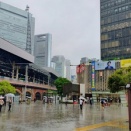 雨音を聴く土曜の昼下がり