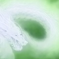 龍が来た！