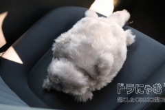 トヨタ系基金、ネコ型ロボットの実証実験　ドライバーの「運転を評価されたくない」和らげ交通安全促せるか