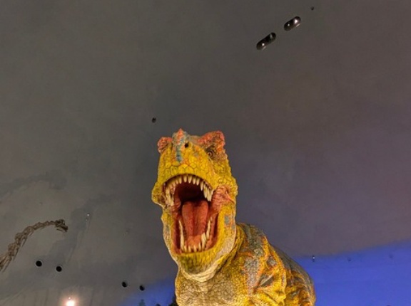 【画像】恐竜博物館に来た