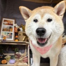 今週も１週間が終わり