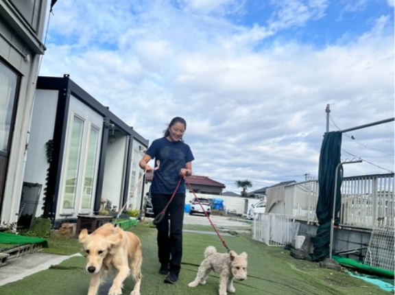 今日のシェルター通信です。🐶🐶💕