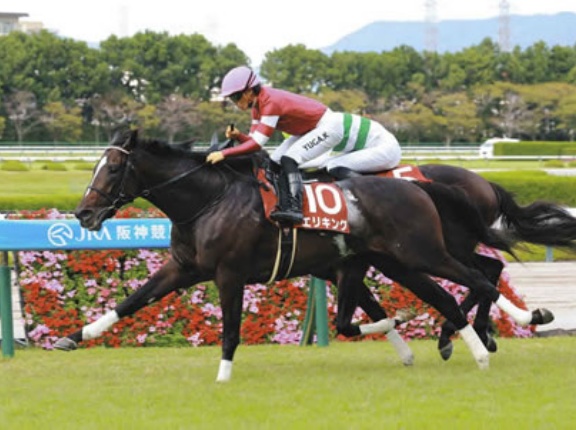 【神戸新聞杯】2番人気エリキングがV！1番人気ショウヘイが首差2着