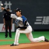 日ハム杉浦とかいう投手wwwwwwwwww