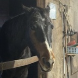『突然の雨』の画像