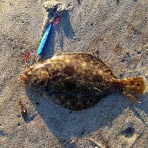 北えるんダー☆