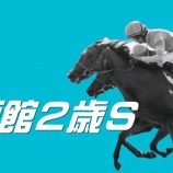 『【掟破りの金になる話】函館２歳Ｓ(G3)』の画像